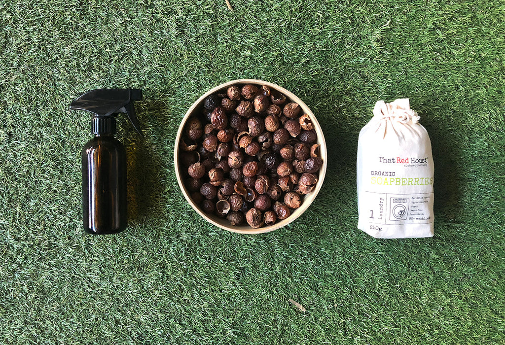 The Soapberries are at it again! 100% Natural Stainless Steel and Glass Cleaner.