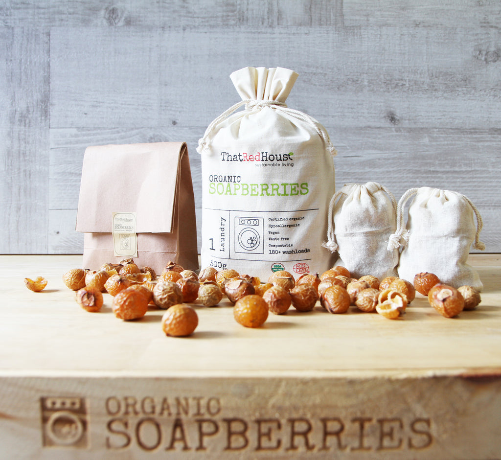 Plastic Free July and beyond…