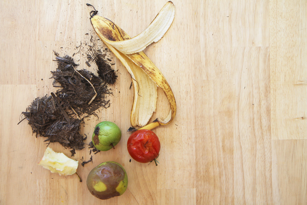 Compost - another mouth to feed, but this one gives back!