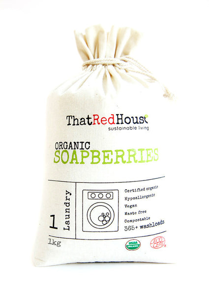 1kg Organic Soapberries