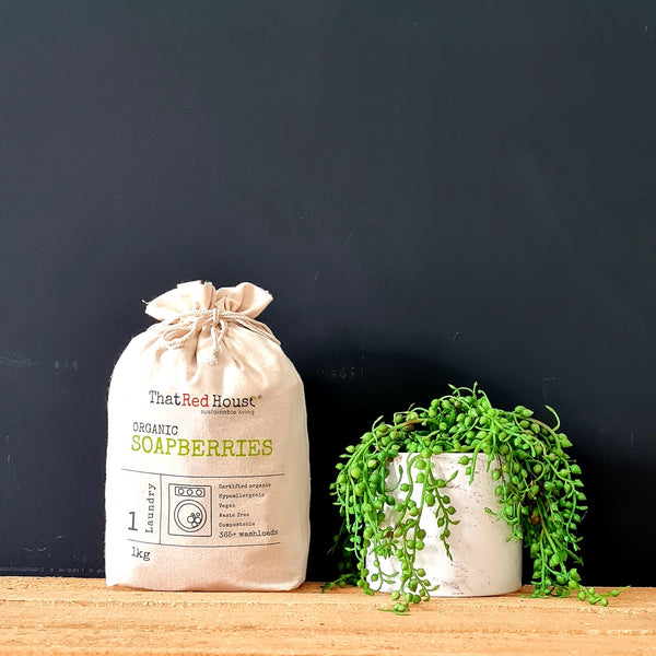 1kg Organic Soapberries