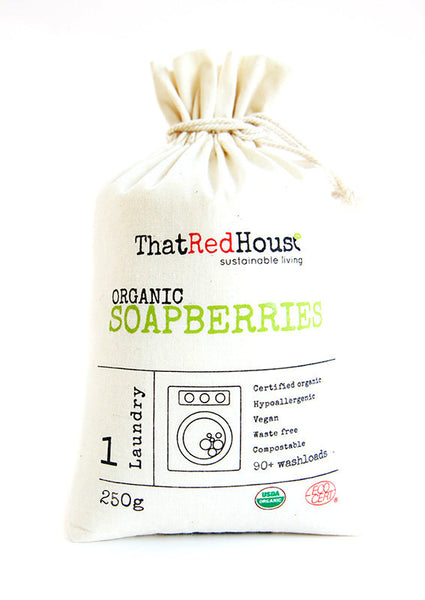 250g Organic Soapberries