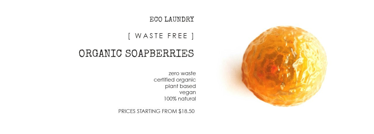 Organic Soapberries Prices Starting from $18.50